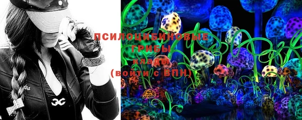 бошки Абаза