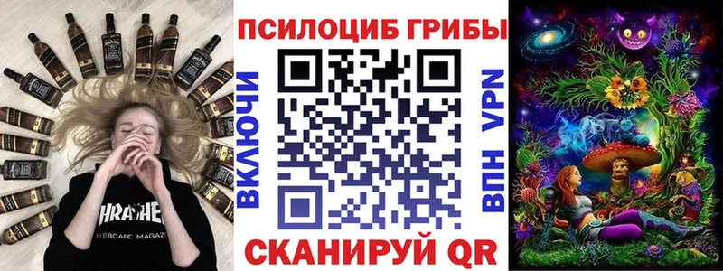 закладки  Сурск  Псилоцибиновые грибы Psilocybe 